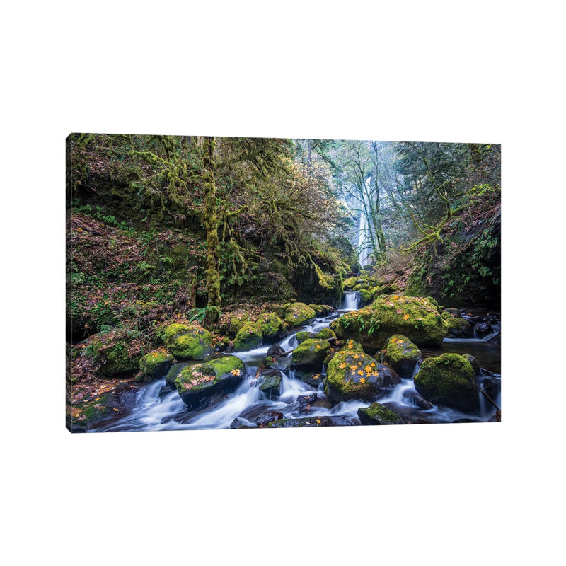 USA, Oregon. Autumn View Of Mccord Creek Flowing Below Elowah Falls In The Columbia River Gorge. by Gary Luhm - Wrapped Canvas Print
