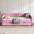Rose n'est pas disponible