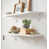 Blanc antique