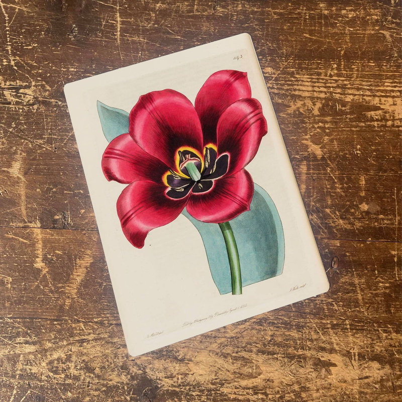 Handmade Plants & Flowers Wall Decor on Metal, 20cm H x 25cm W