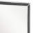 Cevion Mirror