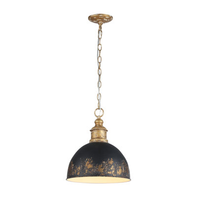 Luminaire suspendu 1 lumière Regena