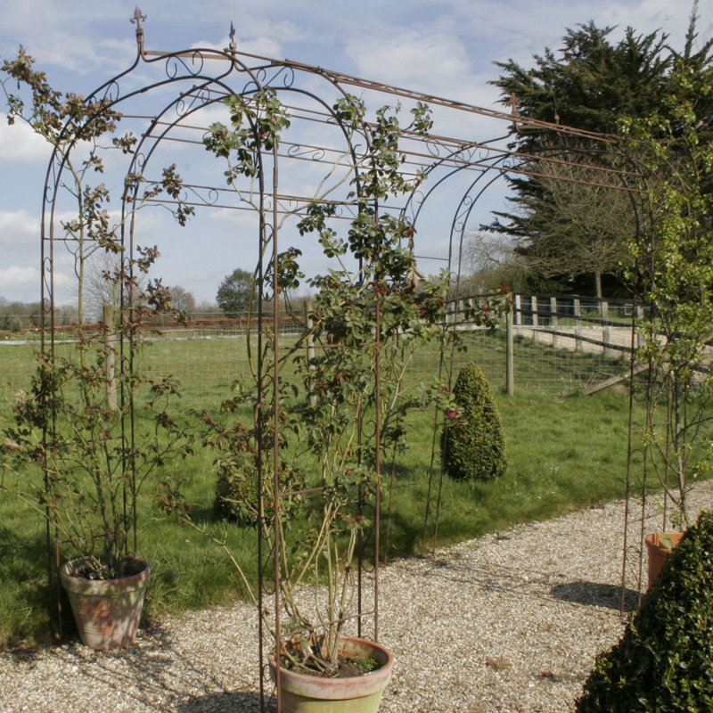 Gaelle 145cm W x 243cm D Iron Arbour in Rust Brown