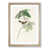 Oak Framed selected