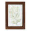 Tyrel Breezy Fronds III, encadré sur papier-580115401-580115409