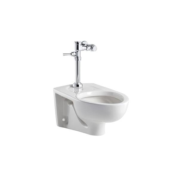 American Standard Afwall Dual Flush Elongated Toilet Bowl - Wayfair Canada