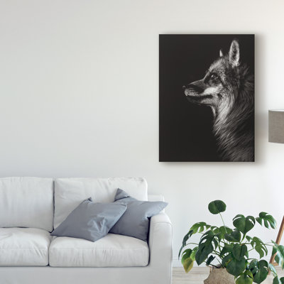 Modern & Contemporary