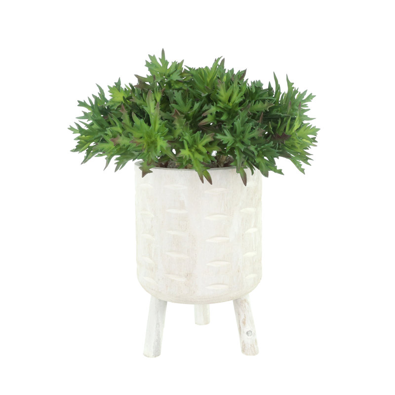 Plantes grasses disposées dans un pot à fleurs en bois avec pieds