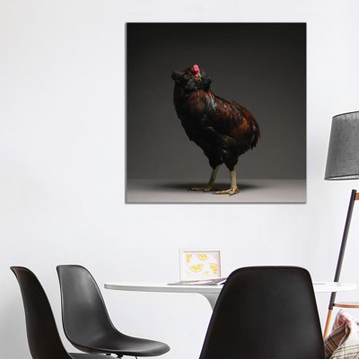 Araucana - Wrapped Canvas Print