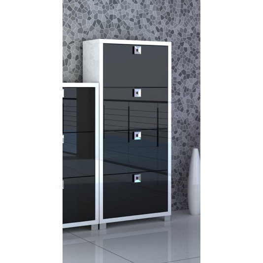 Double 24 Pair Shoe Storage Cabinet, Glossy Black