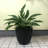 Karola Pot Planter-1267224138-1210281157