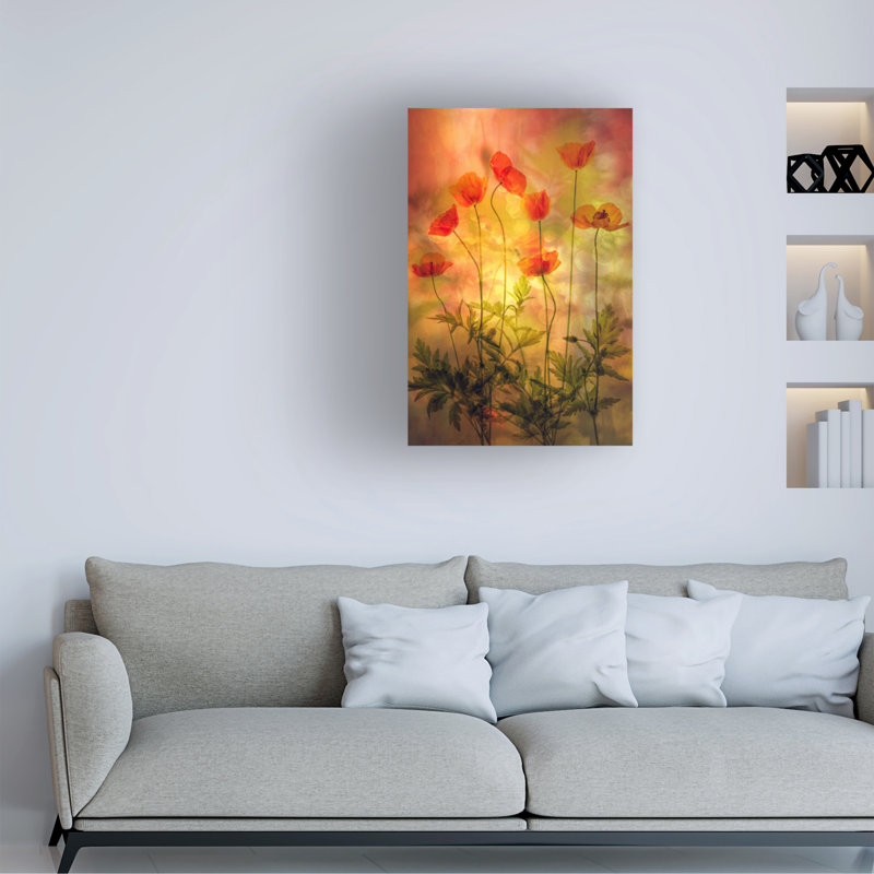 Modern & Contemporary, 24" H x 16" W x 2" D