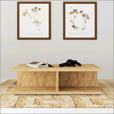 Mango Rectangular Coffee Table