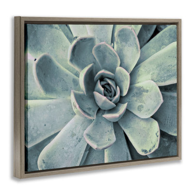 "Green Cactus Succulent", art mural sur toile flottante noire par Susan Bryant