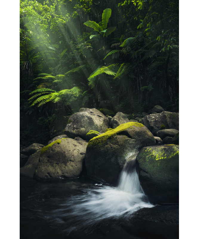 Wrapped Canvas Print, 121.92cm H x 81.28cm W