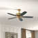 Franson 56'' Ceiling Fan