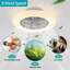 Ceiling Fan with LED Lights