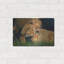 «Lion Love2» par David Stribble, art mural en métal-235798281