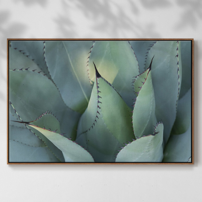 " Blue Agave I ", 17" H x 25" W x 2" D, Walnut