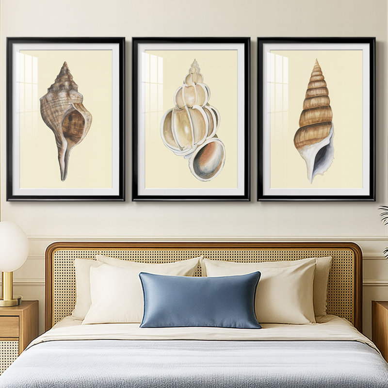 Coquillages aux tons neutres I - Impression sur mesure de qualité supérieure avec passe-partout mat - 3 pièces, Noir