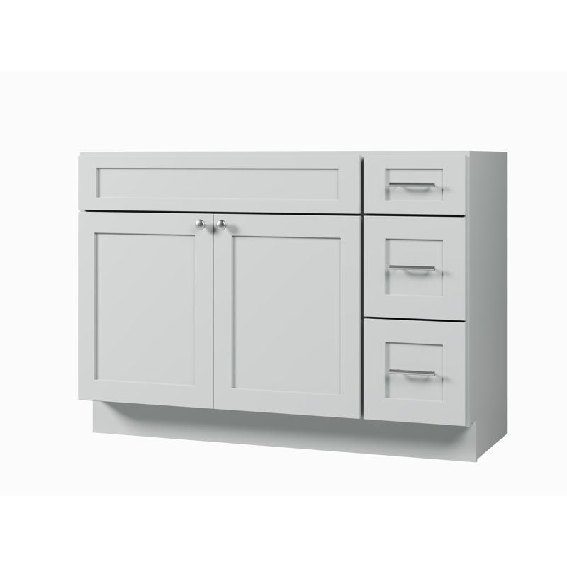 Disar 48" Single Bathroom Vanity Base Only, Gray
