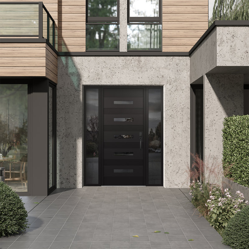 D9 60 po. X 80 po Panneau d'entrée en verre noir et noir à panneau avec 2 portes avant en verre à miroir, L 60 po x H 80 po