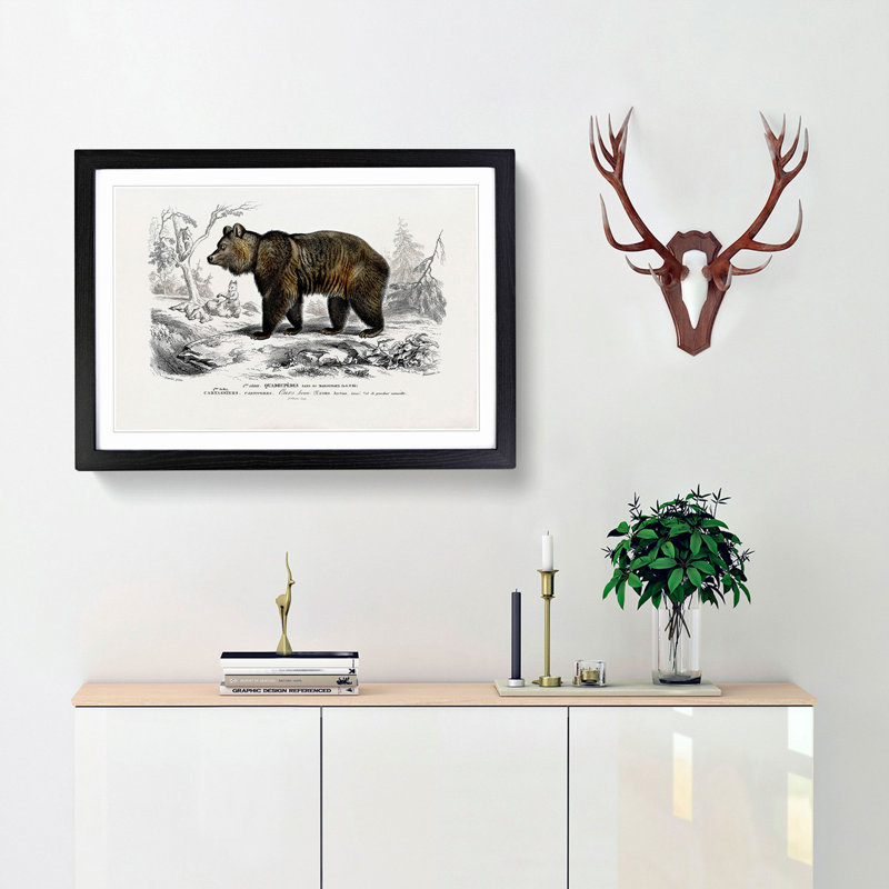 Brown Bear by Charles d'Orbigny - Picture Frame Painting Print, Black Framed, 27cm H x 36cm W x 2cm D
