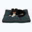Coussin intérieur / extérieur pour chien-49685908-27271797