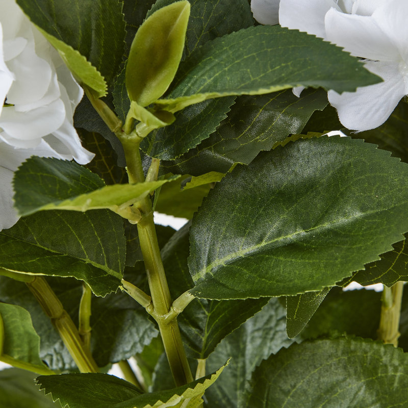 Hydrangea Arrangement in Pot, 64cm H x 50cm W x 50cm D