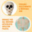 2 pièces décoratives d'Halloween 36 po