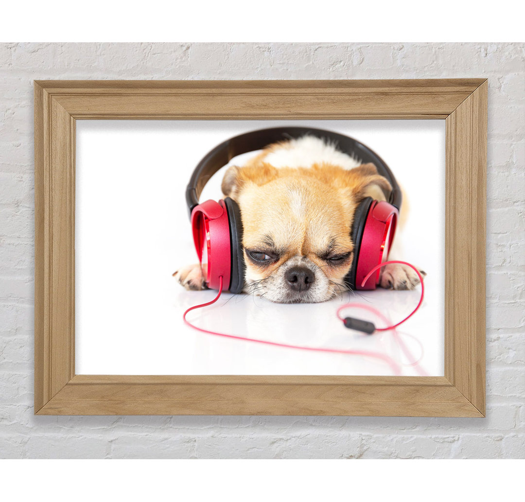 Hund, der Musik hört und sich entspannt - Einzelne Bilderrahmen Kunstdrucke