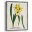 AntiqueFloralFolioVI, reproduction encadrée - bois massif-1868299308