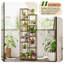 72 po de hauteur pour plante d'intérieur