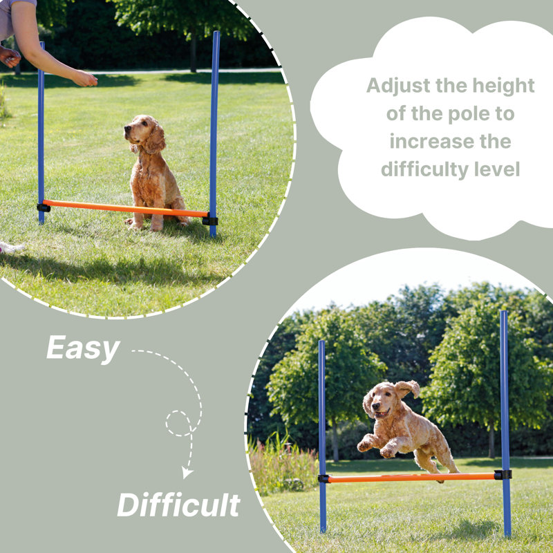 Adjustable Blue and Orange Dog Agility Hurdle