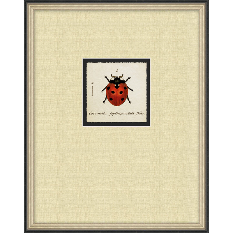 Coccinelle 3 - Cadre photo sur papier