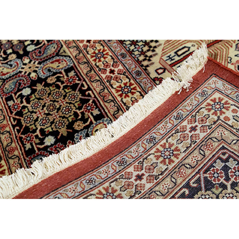Josheghan Wool Oriental Area Rug