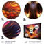 Arc-en-ciel, Phoenix se levant des cendres - salon d'art mural Phoenix-586041009-586041011