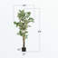 Ficus artificiel 67 po 67 po - Figuier faux artificiel avec pot en plastique noir, arbre d'intérieur nécessitant peu d'entretien pour la décoration de bureau personnel