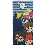 Beach Towel