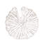 Décoration murale moderne l 15,7 po x H 16,1 po, brise botanique blanche-1143763204