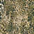 Leopard Chenille