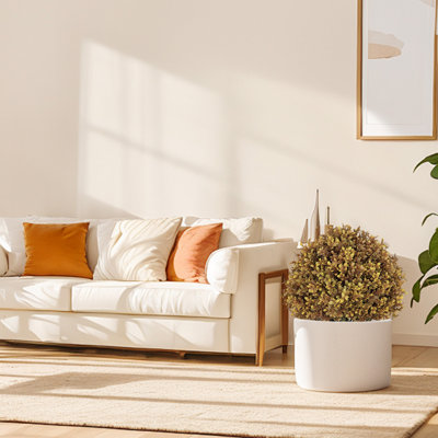 Arbre en pot 24 po