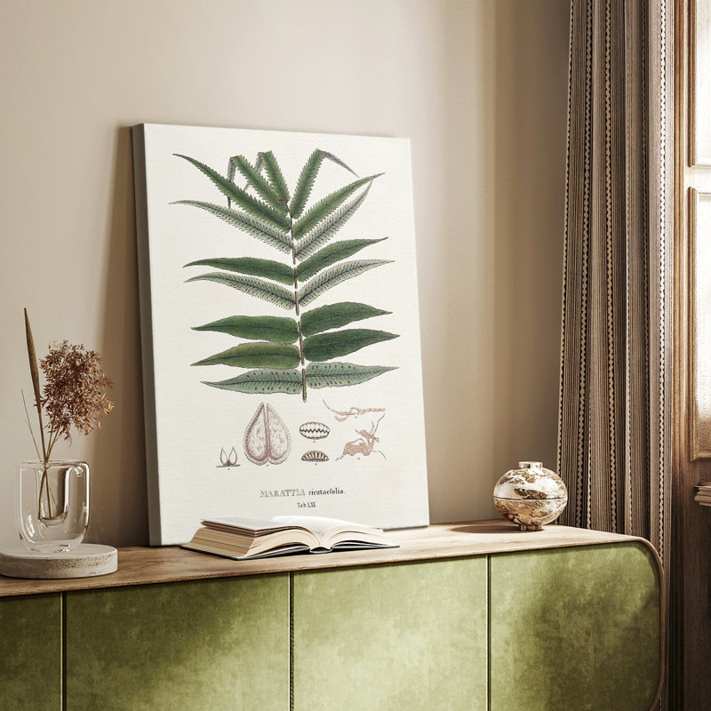 Fougères de la Botanical Society - galerie Cavas sur mesure, H 12 po x l 8 po