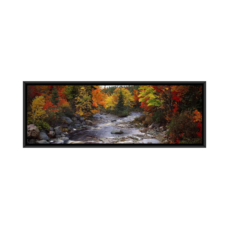 «Stream with Trees in a Forest in Autumn, Nova Écosse, Canada», reproduction de photo sur toile, H 12 po x l 36 po x p 1,5 po