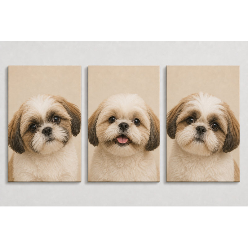 Grand ensemble de 3 reproductions d'art sur toile Shih Tzu