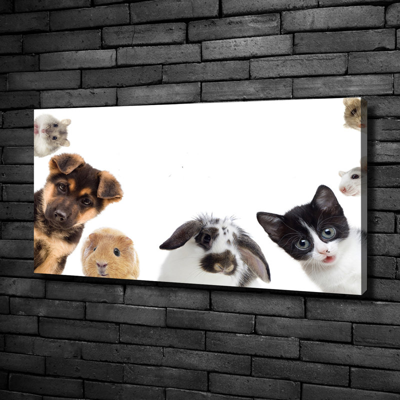 Pets - Wrapped Canvas Print, 50cm H x 100cm W