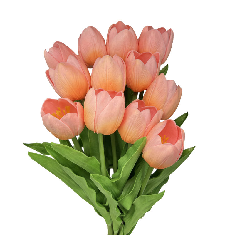 Tiges de tulipes, Rose
