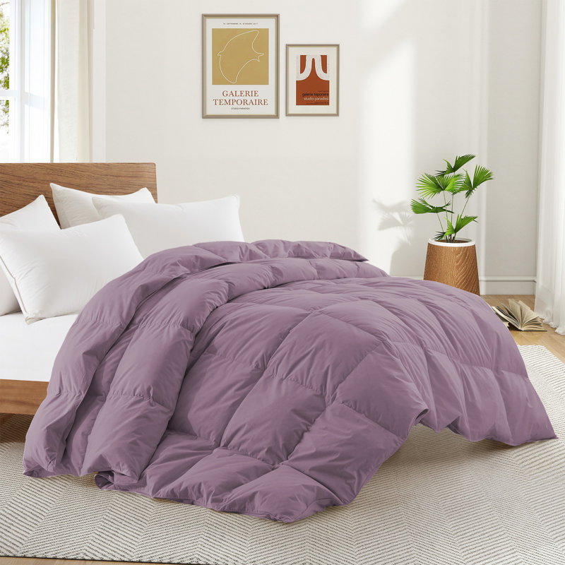 White Goose Feather Fiber Comforter with 100% Cotton Cover All Season Duvet Insert, Dusty Mauve, Twin