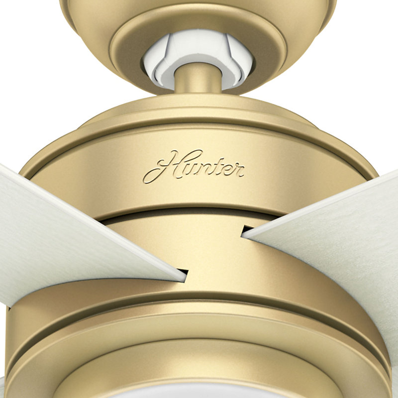 52" Hepburn 4 - Blade Indoor Modern Glam Ceiling Fan with Lights and Wall Control, Modern Brass/Aged Oak;White Grain