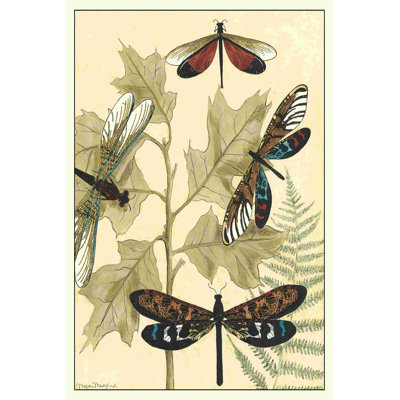 Graphique des libellules dans la nature I